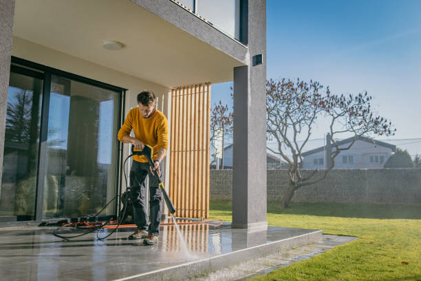 Best Roof Washing  in Ogden, IA