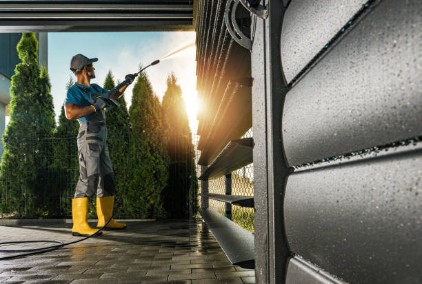 Boat and Dock Cleaning in Ogden, IA